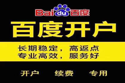百度推广的投放策略与效果分析